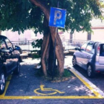 CrossFit PARKING LOT