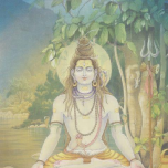 shiva flow